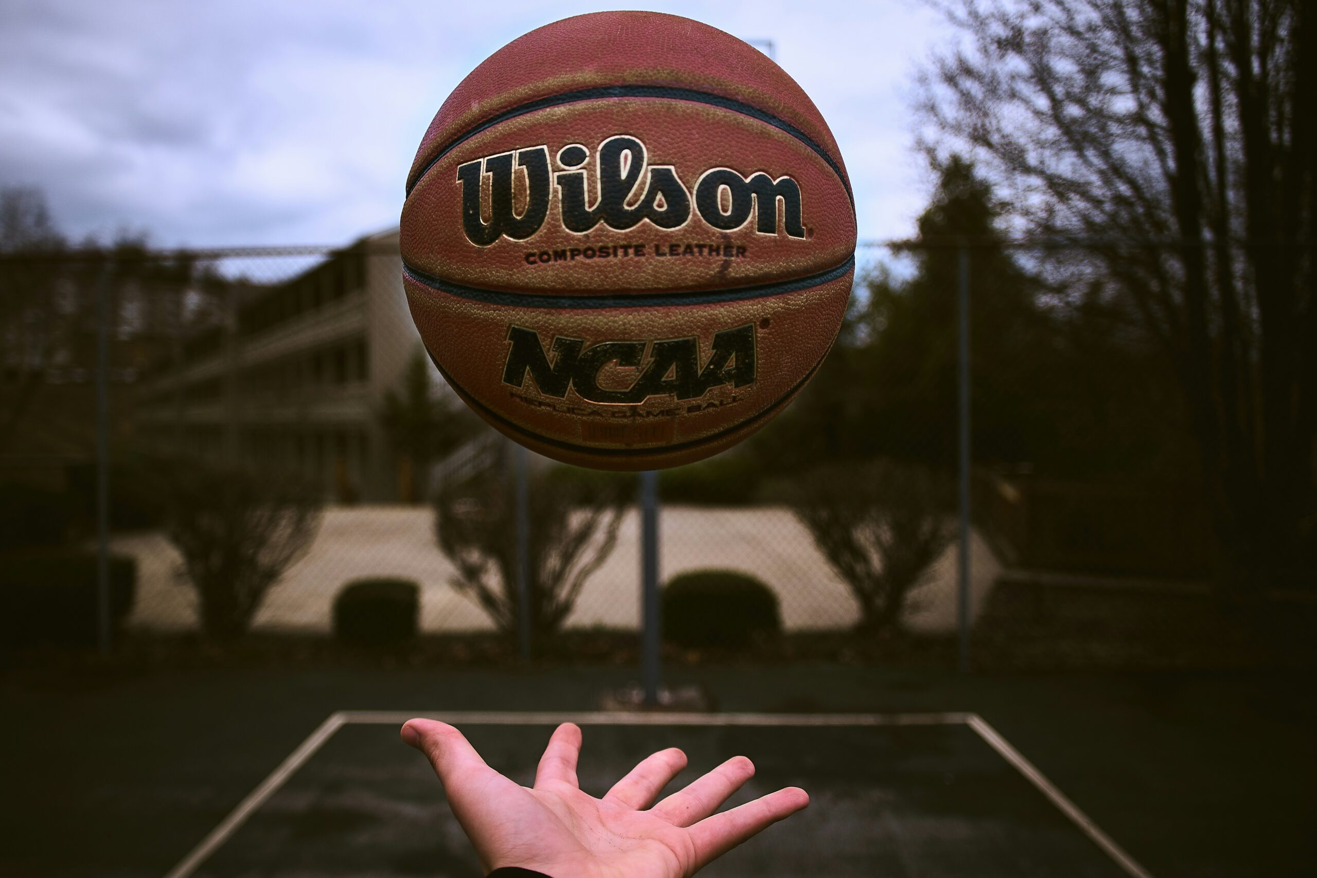 Rising Stars The New Jersey Coaches Transforming College Basketball